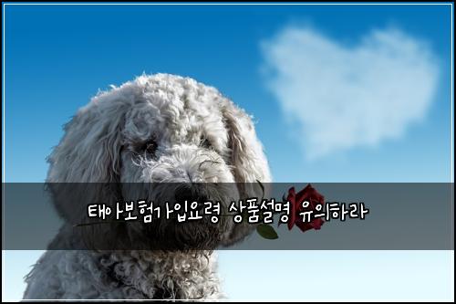 태아보험가입요령 상품설명 유의하라