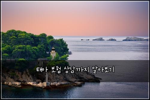 태아 보험 상담까지  알아보기