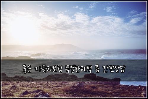 좋은 자동차보험 특별한헤택  좀 간편상담