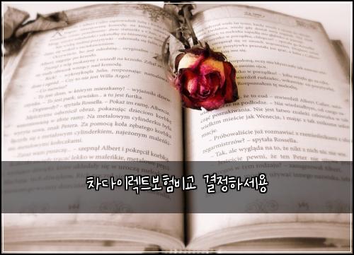 차다이렉트보험비교 결정하세용