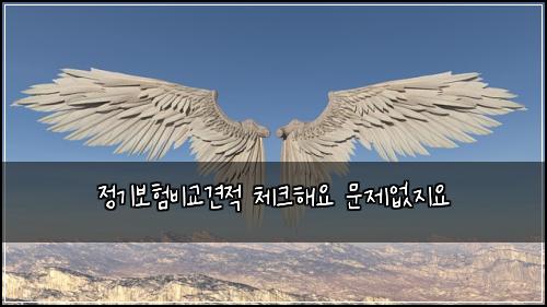 정기보험비교견적 체크해요 문제없지요