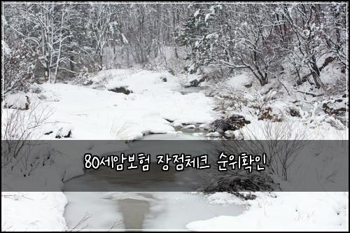 80세암보험 장점체크  순위확인