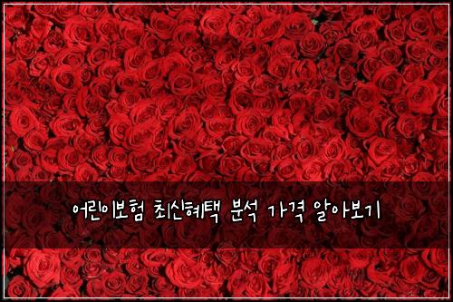 어린이보험 최신혜택  분석 가격 알아보기