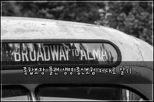 종합보장 플랜 생명 종신보험 제대로 알기