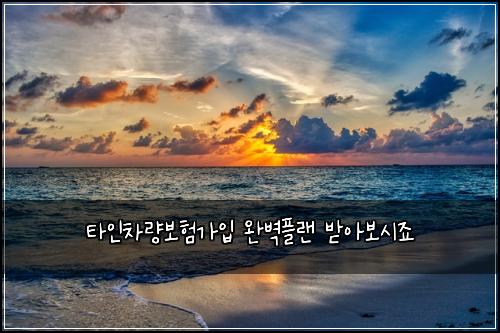타인차량보험가입 완벽플랜 받아보시죠