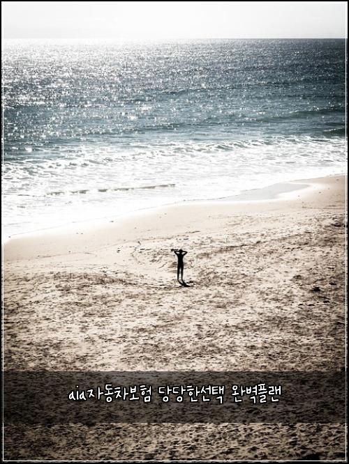 aiaμλ차보ν λΉλΉνμ ν μλ²½νλ