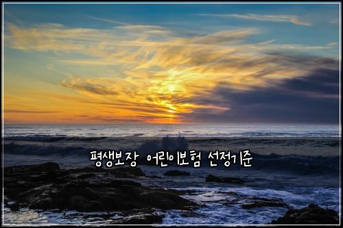 평생보장 어린이보험 선정기준 