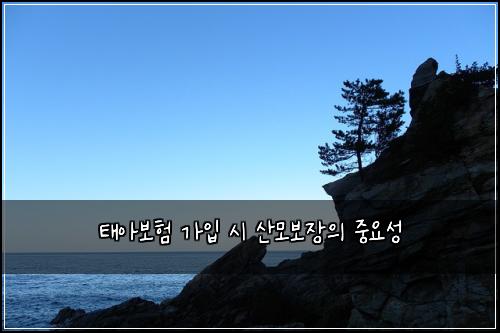 태아보험 가입 시 산모보장의 중요성