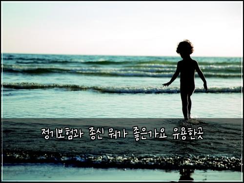 ์ ๊ธฐ๋ณดํ๊ณผ ์ข
์ ๋ญ๊ฐ ์ข์๊ฐ์ ์ ์ฉํ๊ณณ