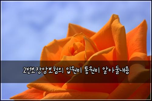 2๋ฒ๋ณด์ฅ์๋ณดํ์ ์
์๋น ํต์๋น ์์๋๋ด์ฉ
