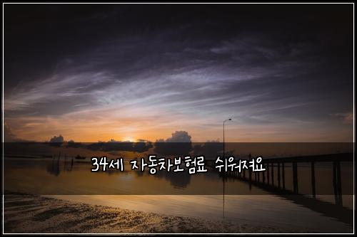 34μΈ μλ차보νλ£ μ¬μμ Έμ