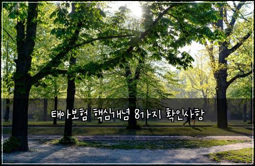 태아보험 핵심개념  8가지 확인사항