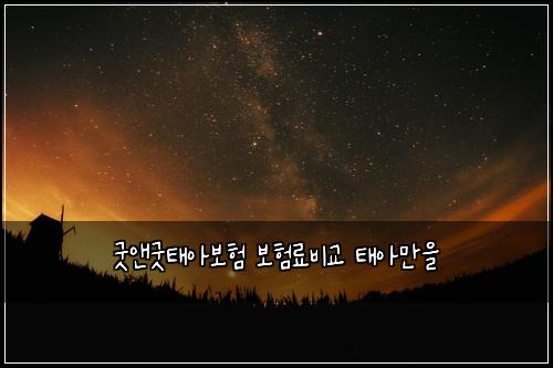 ๊ตฟ์ค๊ตฟํ์๋ณดํ ๋ณดํ๋ฃ๋น๊ต ํ์๋ง์