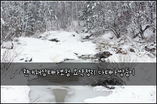 현대해상태아보험 요약정리  다태아쌍둥이