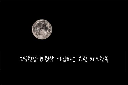 소멸형정기보험잘 가입하는 요령 체크항목