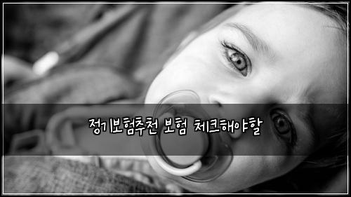 정기보험추천 보험 체크해야할