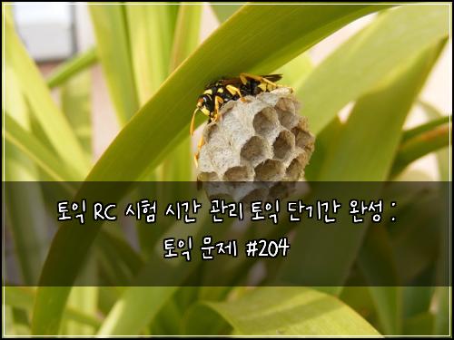 토익 RC 시험 시간 관리 토익 단기간 완성 : 토익 문제 #204
