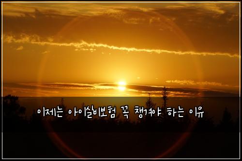 이제는 아이실비보험 꼭 챙겨야 하는 이유