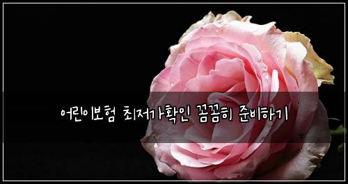 어린이보험 최저가확인  꼼꼼히 준비하기