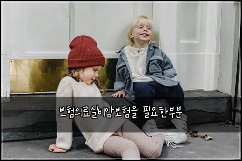 보험의료실비암보험을 필요한부분