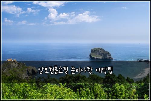 암보험홈쇼핑 준비사항 대박팁