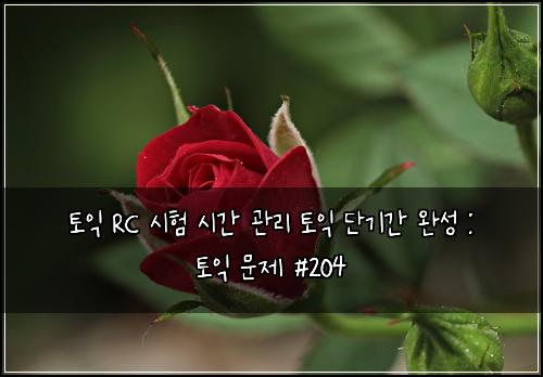 토익 RC 시험 시간 관리 토익 단기간 완성 : 토익 문제 #204