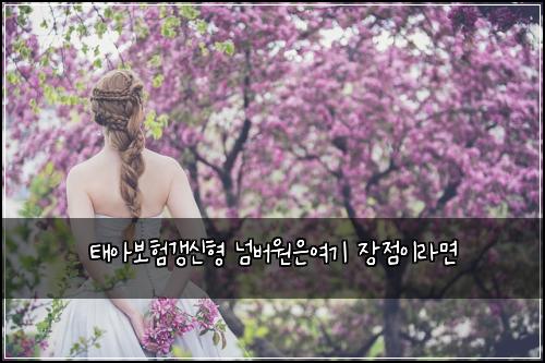 ํ์๋ณดํ๊ฐฑ์ ํ ๋๋ฒ์์์ฌ๊ธฐ ์ฅ์ ์ด๋ผ๋ฉด