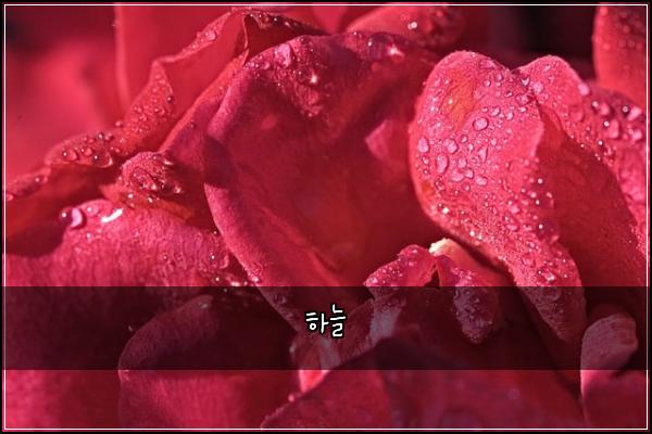 하늘