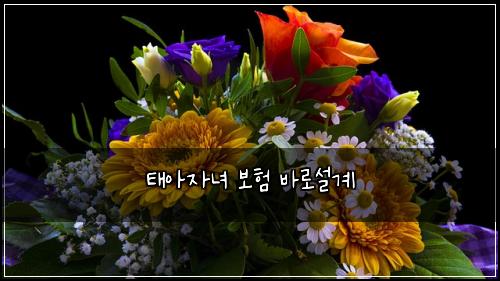 태아자녀 보험 바로설계 