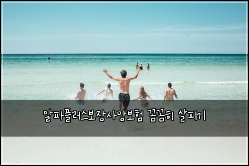알파플러스보장사망보험 꼼꼼히 살피기