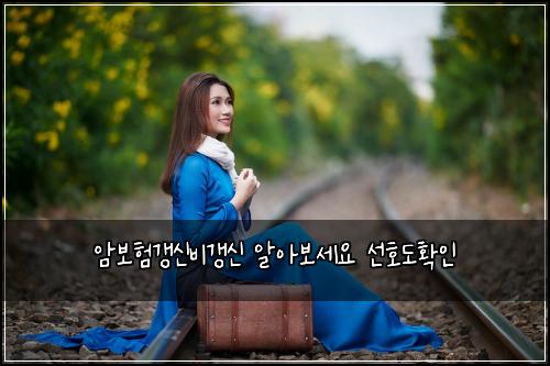 암보험갱신비갱신 알아보세요 선호도확인