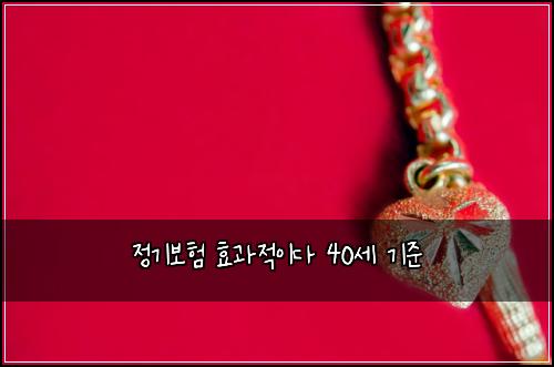 정기보험 효과적이다  40세 기준