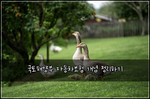 국토해양부 자동차보험 개념 정리하기