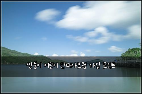 쌍둥이 어린이 단태아보험 가입 포인트