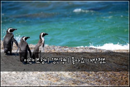 어린이보험이 갱신형이 좋아요 대박정보