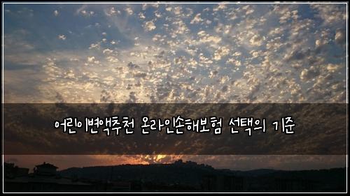 어린이변액추천 온라인손해보험 선택의 기준