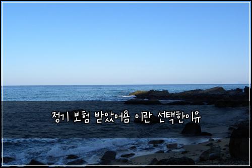 정기 보험 받았어욤  이란 선택한이유