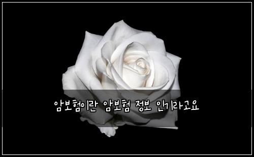 암보험이란 암보험 정보 인기라고요