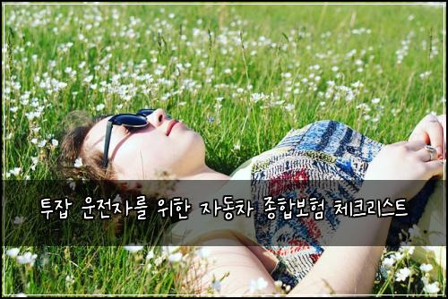 투잡 운전자를 위한 자동차 종합보험 체크리스트