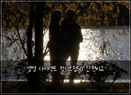 생명 다이렉트 정기보험50 간편비교