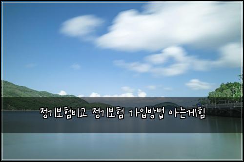 정기보험비교 정기보험 가입방법 아는게힘
