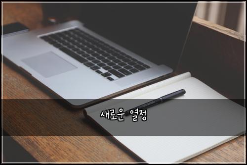 새로운 열정