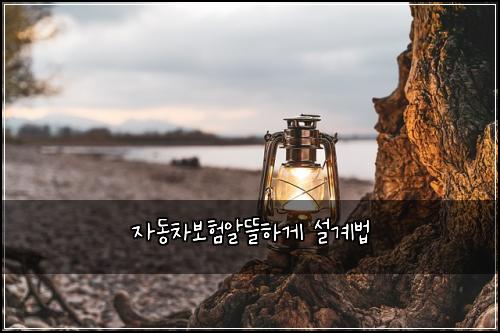 ์๋์ฐจ๋ณดํ์๋ฐํ๊ฒ ์ค๊ณ๋ฒ