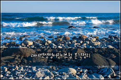 λμμ
μλͺ
μ΄λ¦°μ΄λ³΄ν 본격μ 리