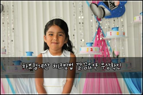 차보험계산 체크방법 깔끔요약 무상확인