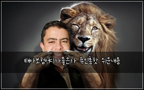 태아보험어디가좋은가 푸인총핫 쉬운내용