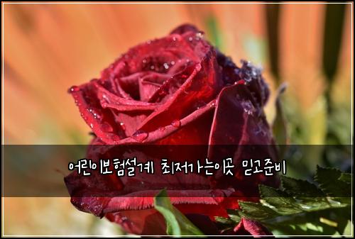 ์ด๋ฆฐ์ด๋ณดํ์ค๊ณ ์ต์ ๊ฐ๋์ด๊ณณ ๋ฏฟ๊ณ ์ค๋น