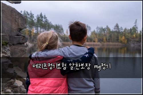 메리츠정기보험 알찬보장  mg정기