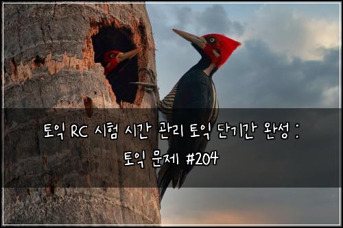 토익 RC 시험 시간 관리 토익 단기간 완성 : 토익 문제 #204