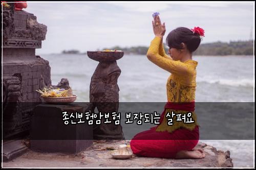 종신보험암보험 보장되는 살펴요
